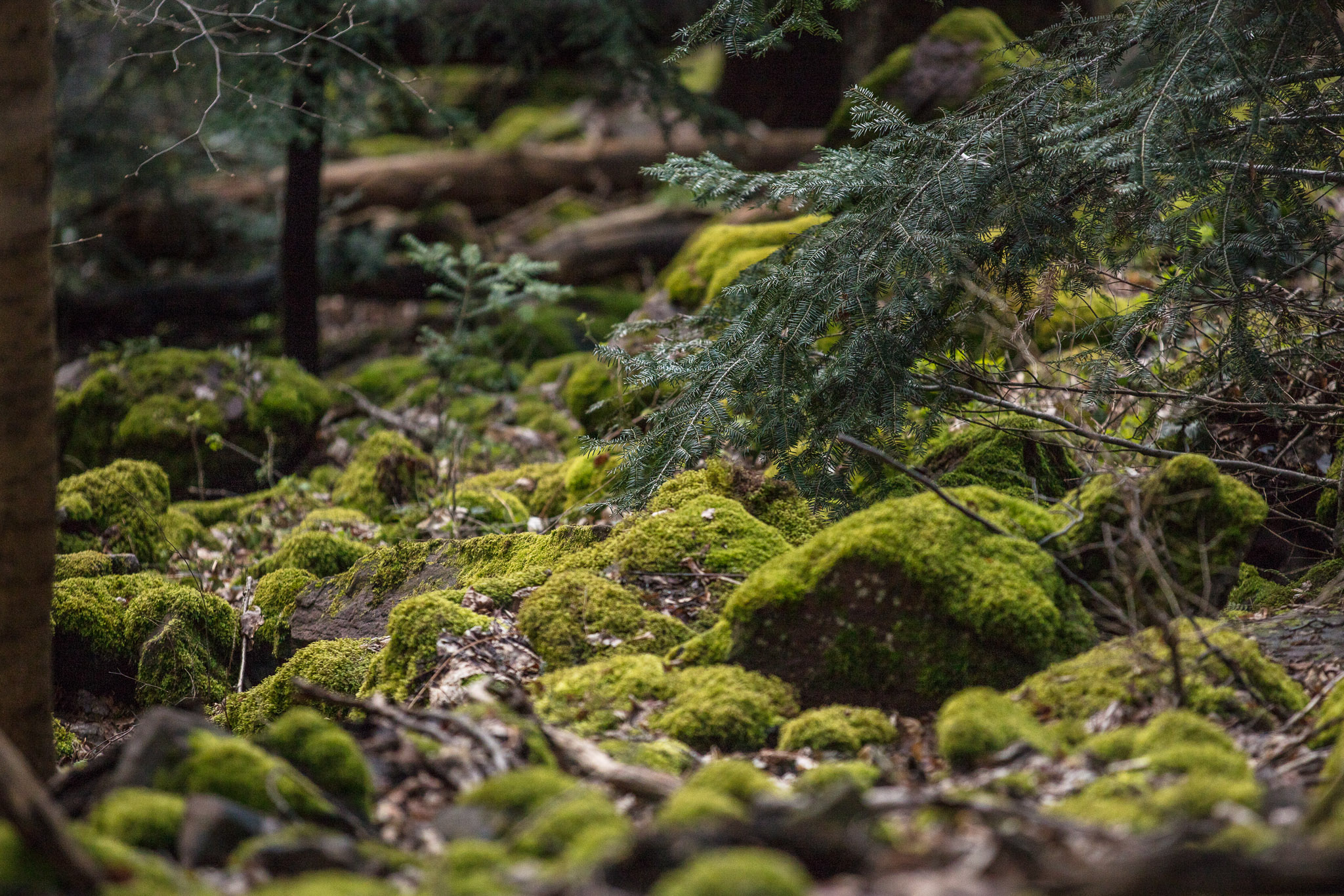 20220409151723 DP013974